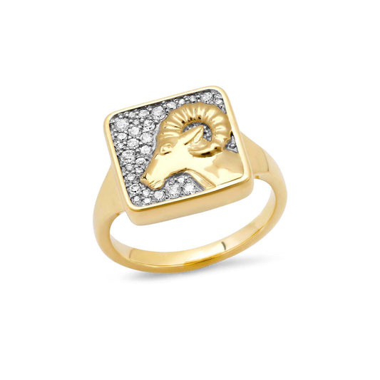 Zodiac Ring
